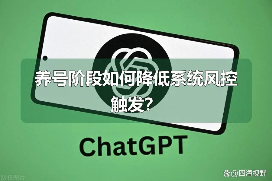 养号阶段如何降低系统风控触发?
